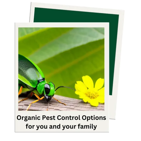 organic pest control options for you and your family