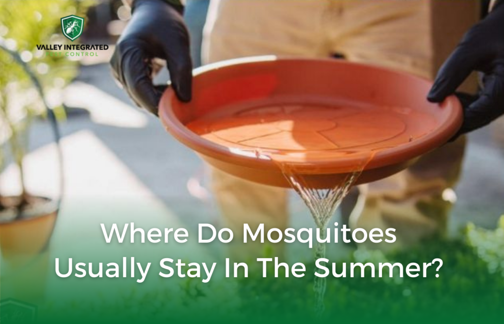 Mosquito Control Archives Valley Integrated Pest Control