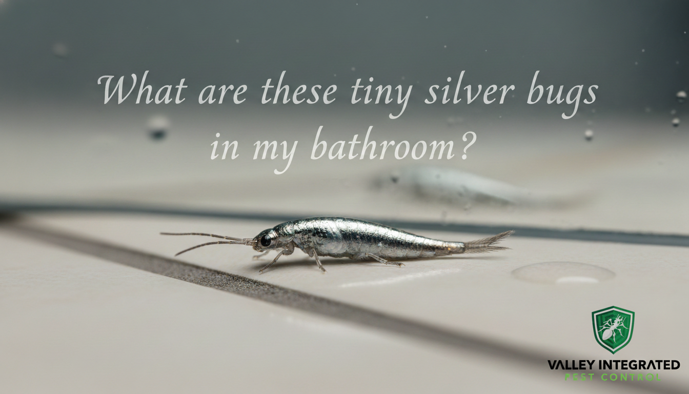 A silverfish on a light-colored tiled surface with water droplets, with text asking "What are these tiny silver bugs in my bathroom?" and a pest control logo.
